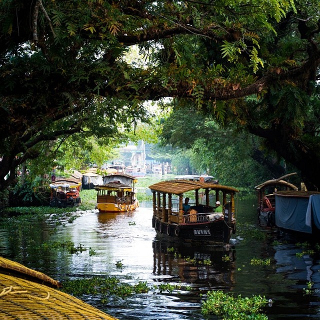 Kerala Backwaters — Alleppey