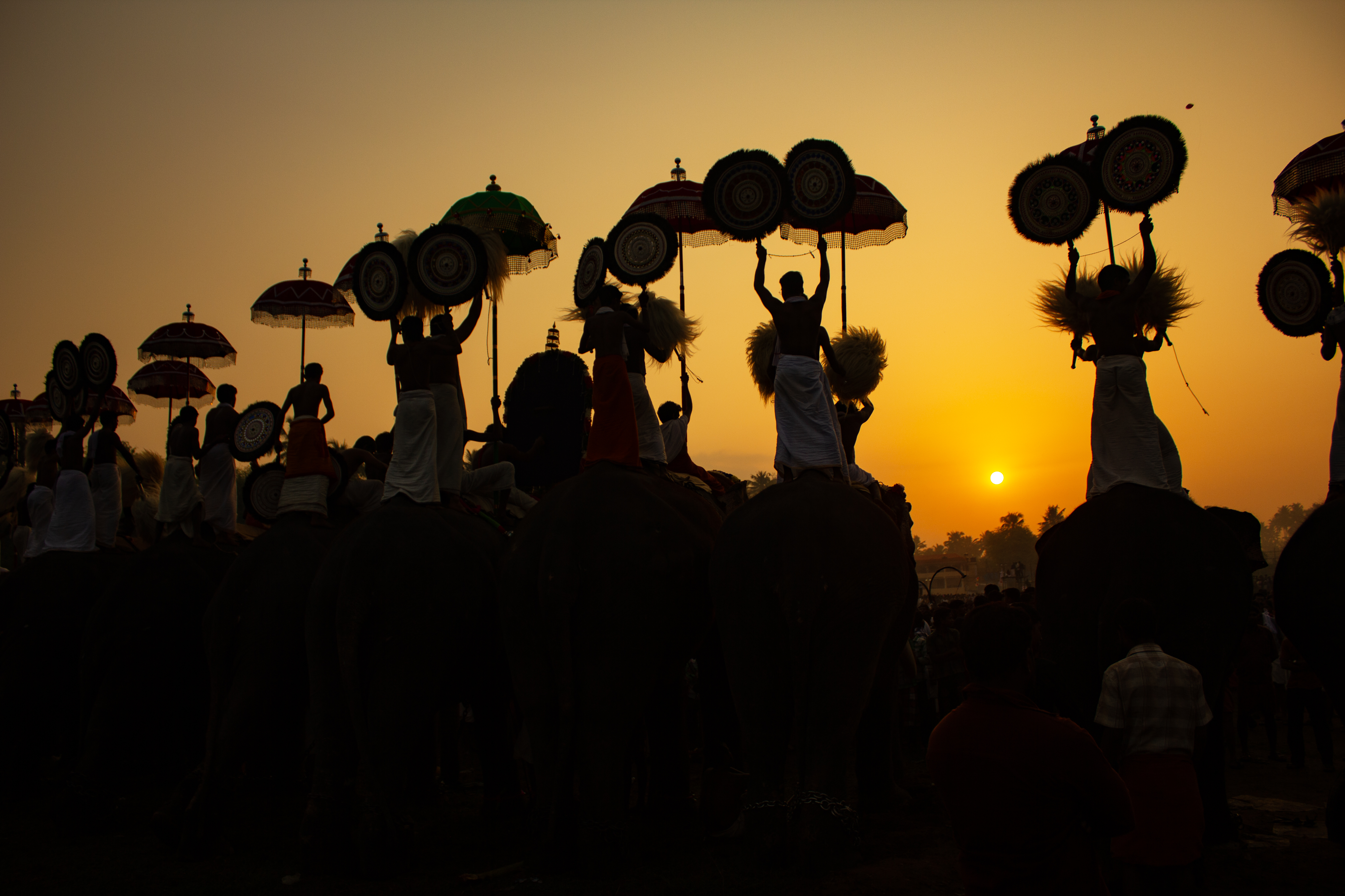 Arattupuzha Pooram — Elephant Procession at Sunset